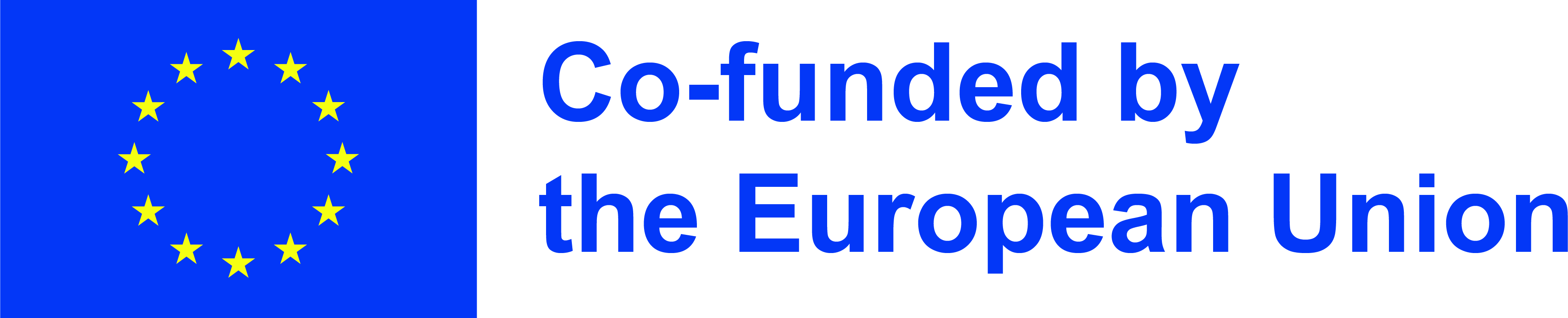 Co-funded by the European Union